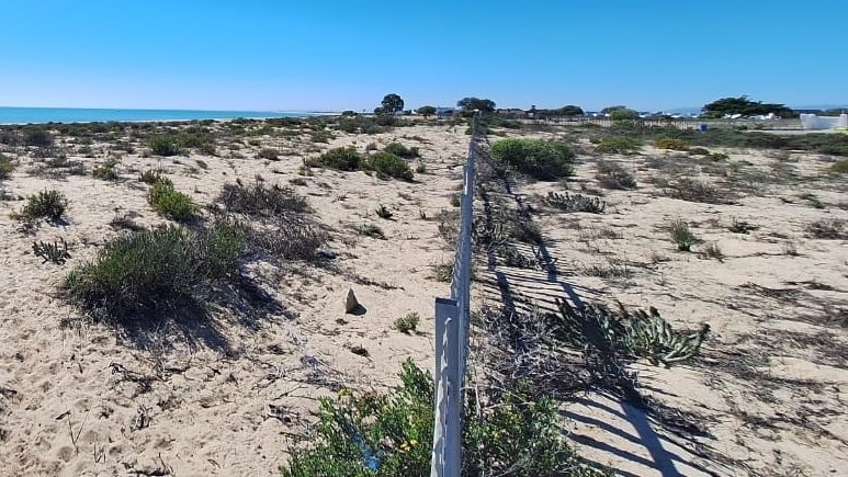 0 Bedroom Property for Sale in Atlantic Waves Estate Western Cape